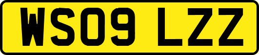 WS09LZZ