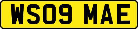 WS09MAE