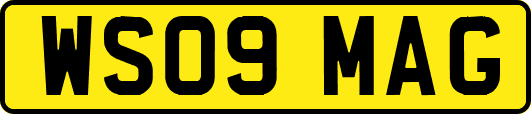 WS09MAG