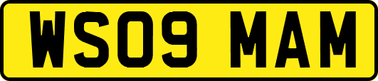 WS09MAM
