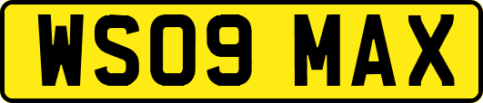 WS09MAX