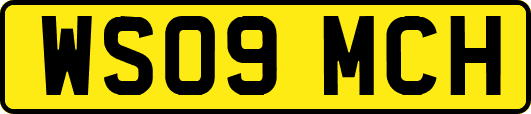WS09MCH