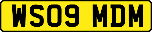 WS09MDM