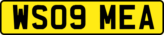 WS09MEA