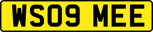 WS09MEE