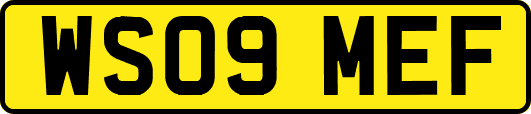 WS09MEF