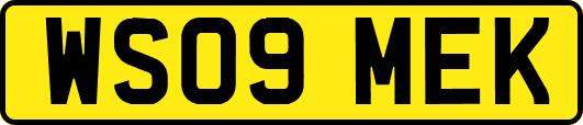 WS09MEK