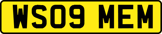 WS09MEM