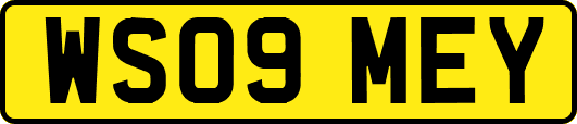 WS09MEY
