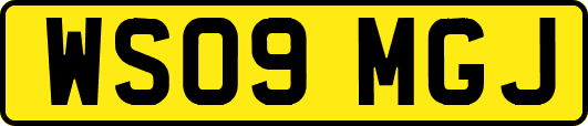 WS09MGJ