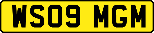 WS09MGM