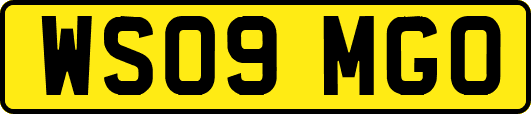 WS09MGO