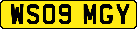 WS09MGY