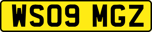 WS09MGZ