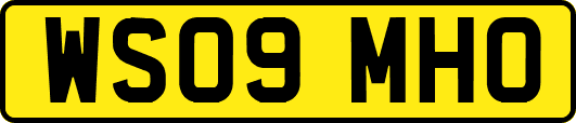 WS09MHO
