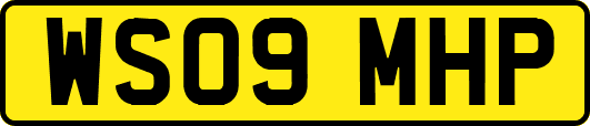 WS09MHP
