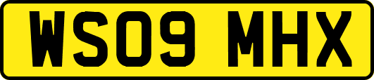 WS09MHX