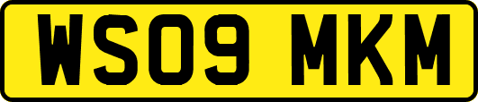 WS09MKM