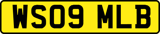 WS09MLB