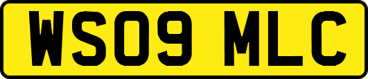 WS09MLC