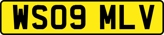 WS09MLV
