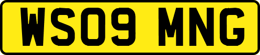 WS09MNG