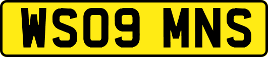 WS09MNS