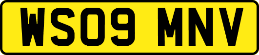 WS09MNV