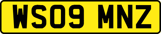 WS09MNZ