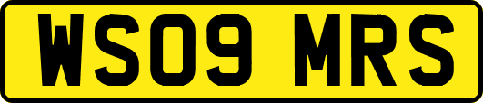 WS09MRS