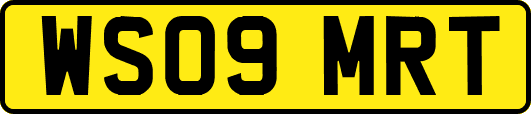 WS09MRT