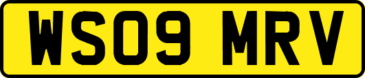 WS09MRV