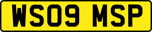 WS09MSP