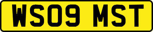 WS09MST