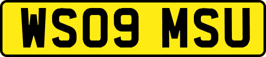 WS09MSU