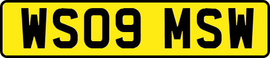WS09MSW