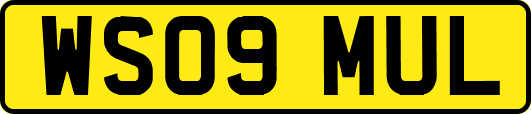 WS09MUL