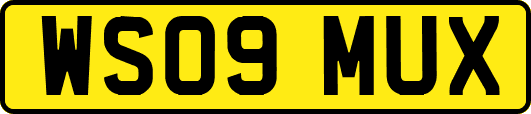 WS09MUX