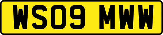 WS09MWW