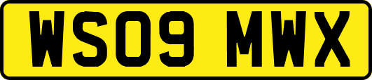 WS09MWX