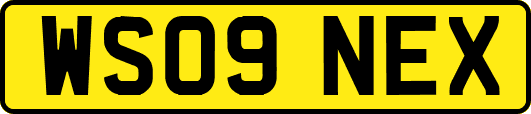 WS09NEX