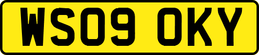 WS09OKY