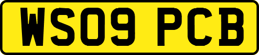WS09PCB