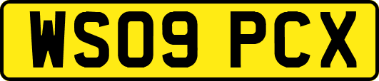 WS09PCX
