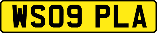 WS09PLA