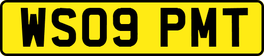 WS09PMT