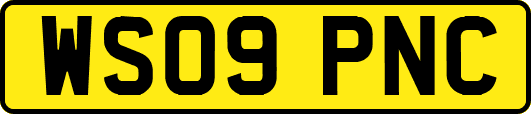 WS09PNC