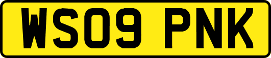 WS09PNK