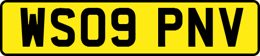 WS09PNV