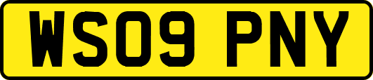 WS09PNY